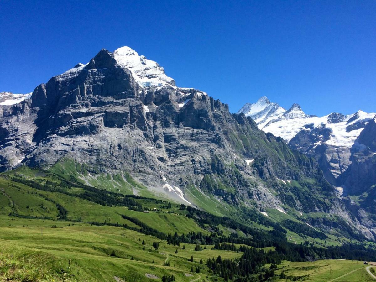 شقة Wetterhorn, Eiger, Jungfrau, Amazing! جريندلوالد المظهر الخارجي الصورة