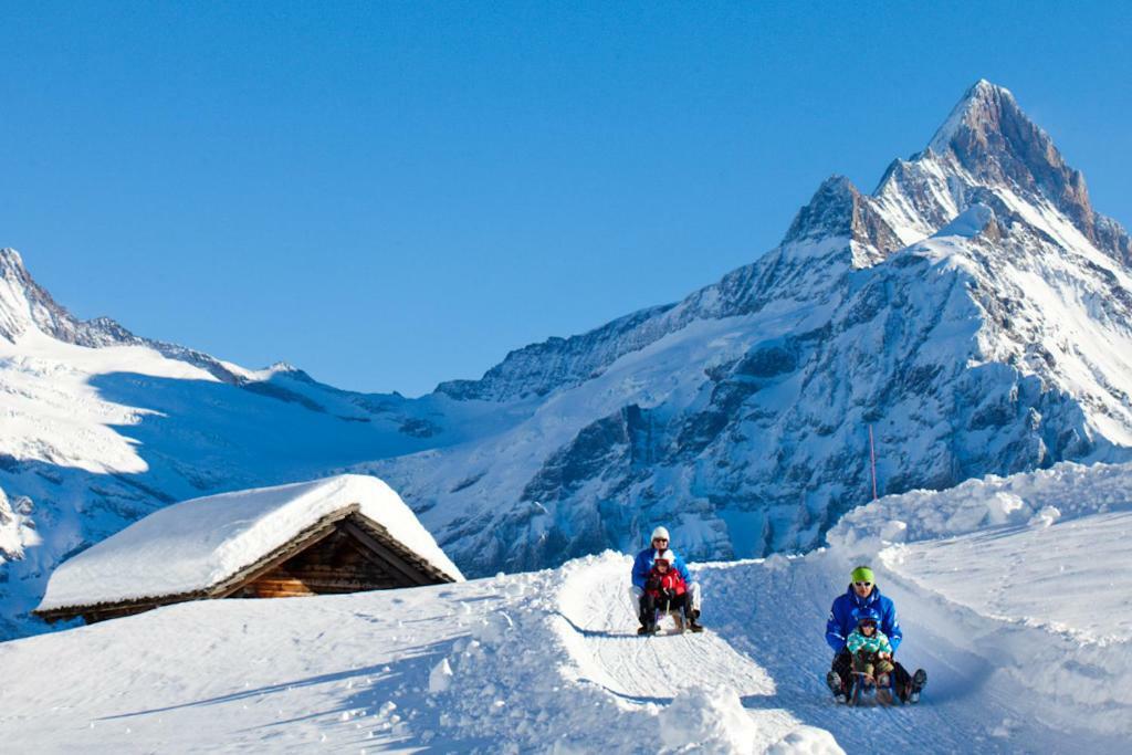 شقة Wetterhorn, Eiger, Jungfrau, Amazing! جريندلوالد المظهر الخارجي الصورة